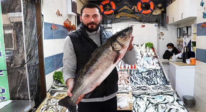 Havalar ısındı balık tezgahları doldu, fiyat düştü