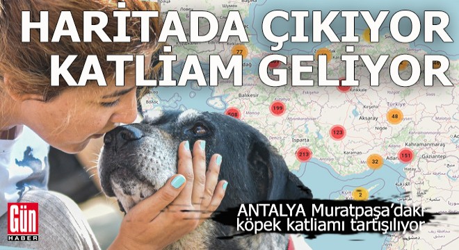 Havrita’da işaretlenen sokak köpekleri öldürülüyor tartışması