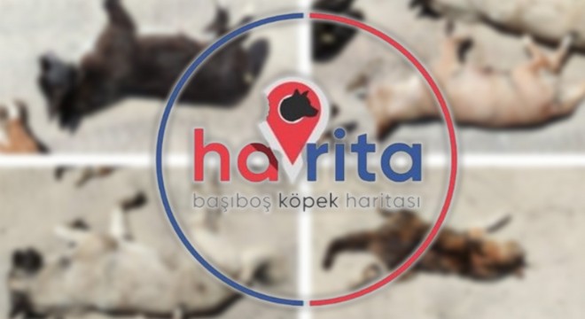 Havrita ya erişim engeli geldi