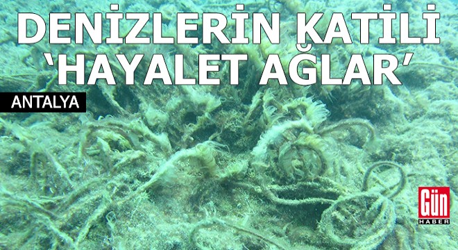 ‘Hayalet ağ’lar deniz ekosistemini tehdit ediyor