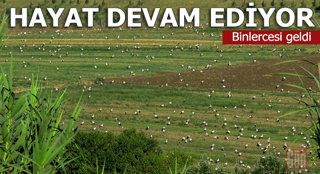 Hayat devam ediyor