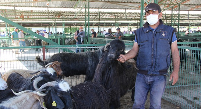 Hayvan pazarlarında denetim