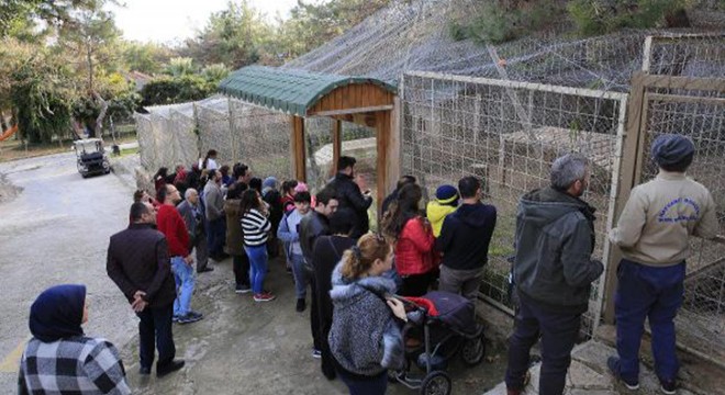 Hayvanat Bahçesi'ne ziyaretçi ilgisi