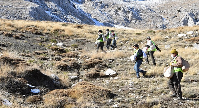 Hayvanlar için 1200 dekara gübre