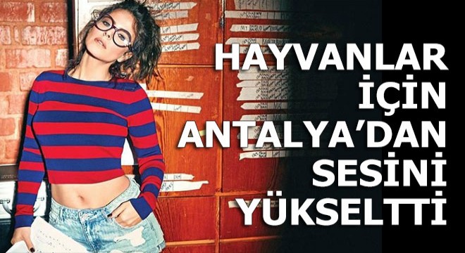 Hayvanlar için Antalya'dan sesini yükseltti