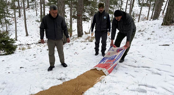 Hayvanlar için doğaya yem bırakıldı