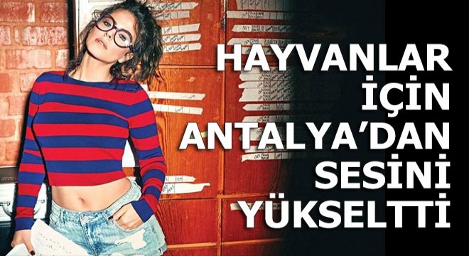 Hayvanlar için Antalya dan sesini yükseltti