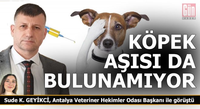 Hayvanlara da aşı bulunamıyor