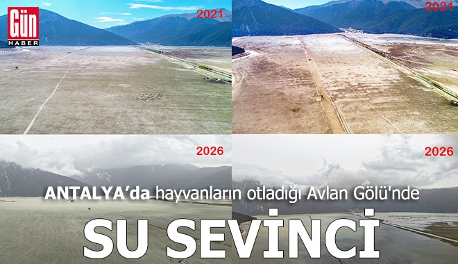 Hayvanların otladığı Antalya Avlan Gölü'nde su sevinci