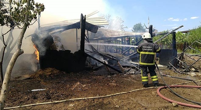 Hayvanlarını kabul etmeyen akrabasının ahırını yaktı