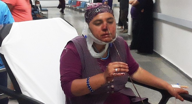 Hayvanlarını kontrol ederken burnuna demir şiş saplandı