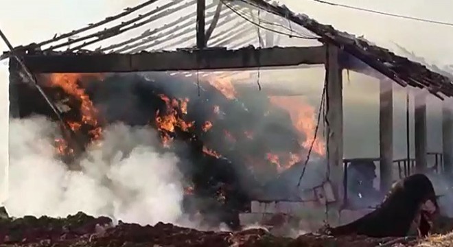 Ahırdaki yangın söndürülürken ağlayarak izledi