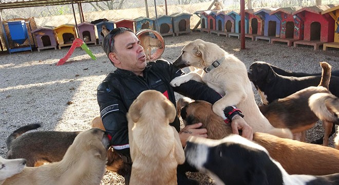 Hayvansever Sert, el konulan köpeklerine kavuştu