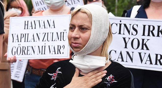 Hayvanseverler Aysun Korkar’a saldırıyı protesto etti