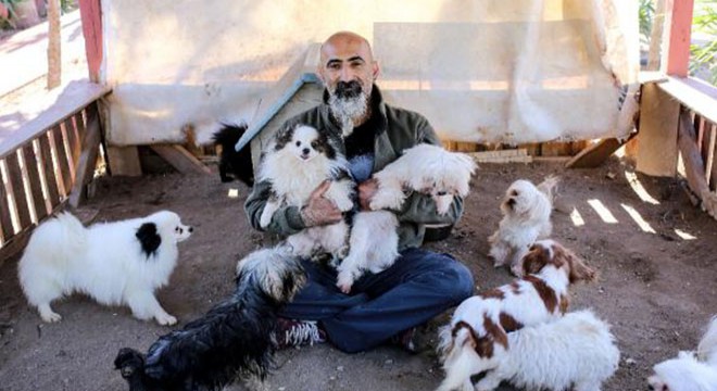 Hayvanseverlere köpek pansiyonu