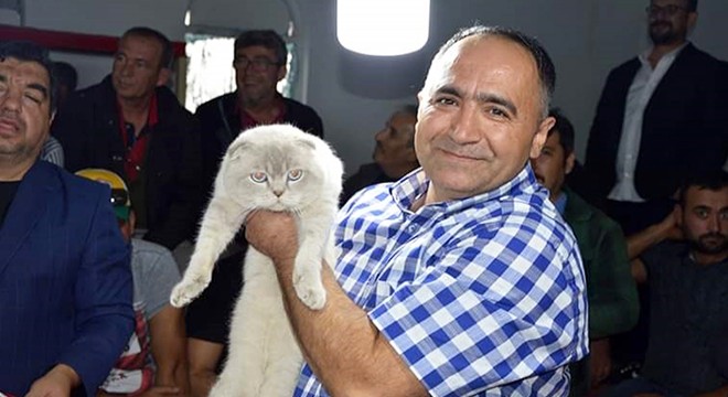 Hayvanseverleri buluşturan güzellik yarışması