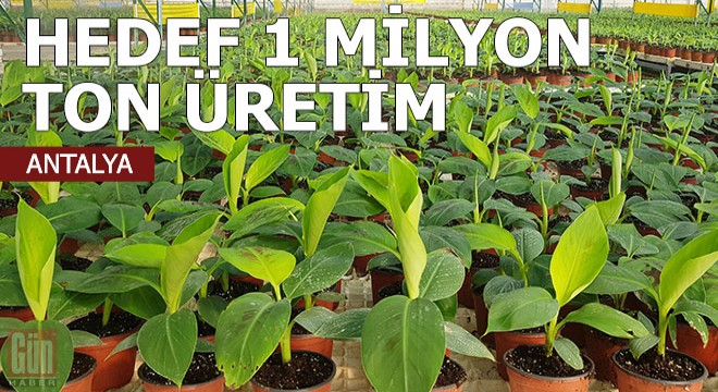 Hedef, yılda 1 milyon ton üretim