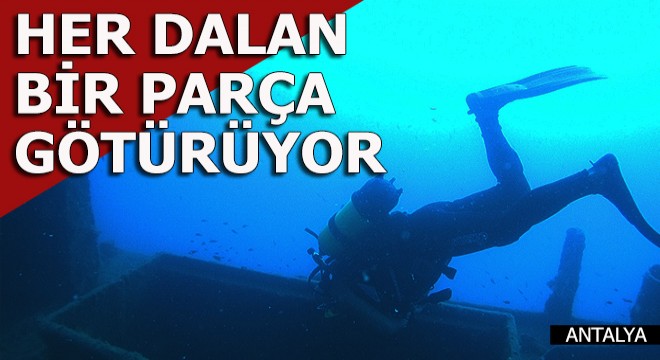 Her dalan, bir parça götürüyor