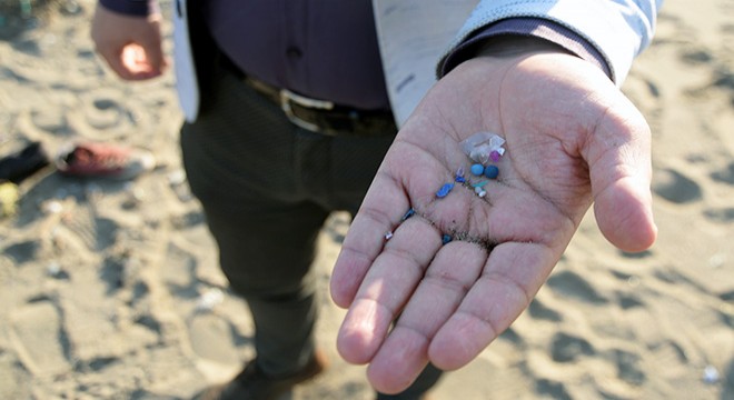 Her iki deniz kaplumbağasından biri plastik yutuyor