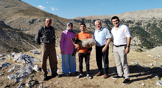 Hibe destekle başladı, 186 koyun yetiştirdi
