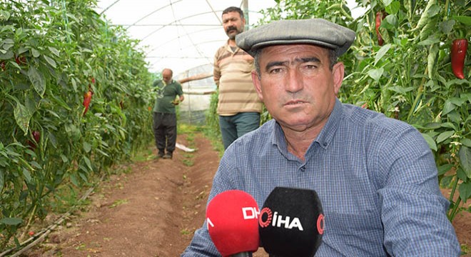 Hidayet Kökce: Haldeki ürün alınıp dağıtılsın