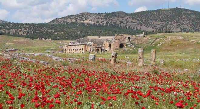 Hierapolis Antik Kenti'nde çiçeklerle görsel şölen