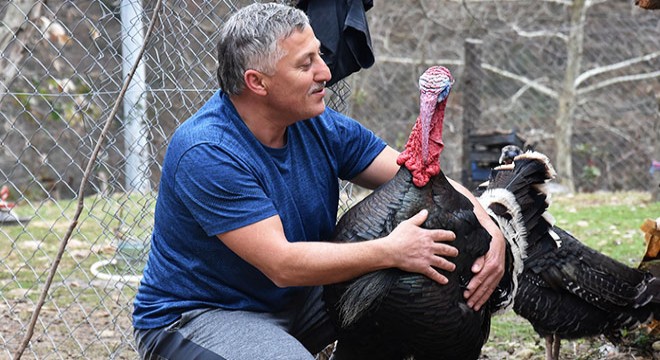 Hindisi 'Hamit' arkadaşı gibi