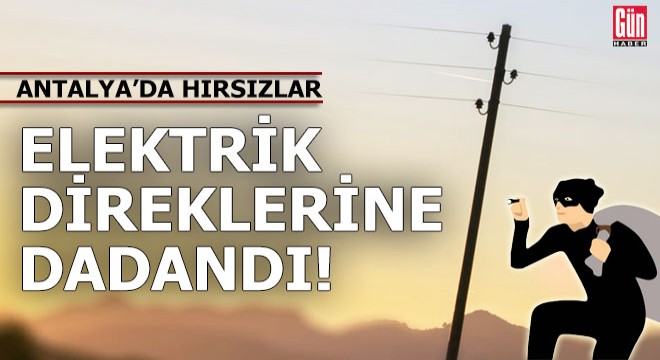 Hırsızlar elektrik direklerine dadandı!