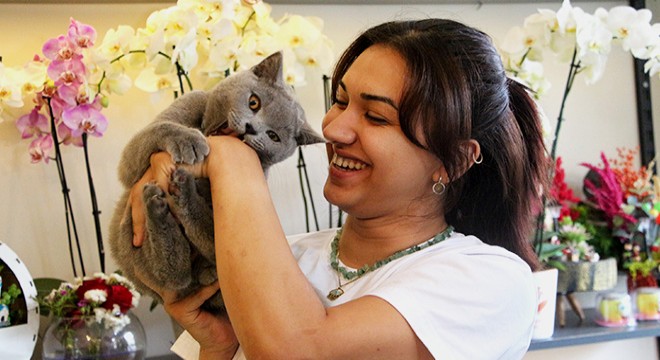 Hırsızlık için girdiği çiçekçiden kedi çaldı