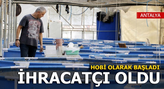 Hobi olarak başladı, ihracatçı oldu