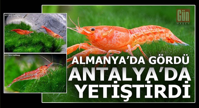 Hobi olarak başladı yılda 1 milyon Euro gelir hedefliyor