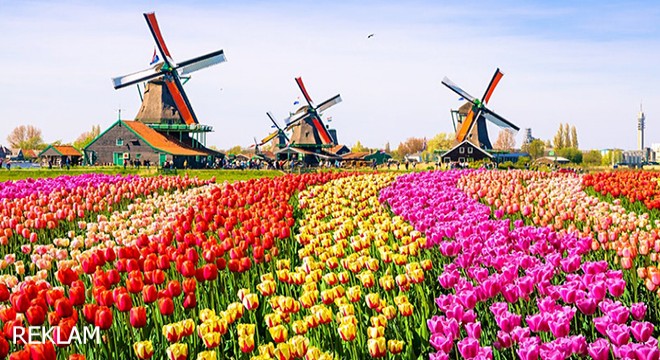 Hollanda Vize Merkezi