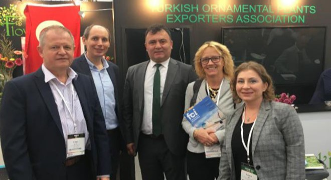 Hollanda'da Türkiye rüzgarı