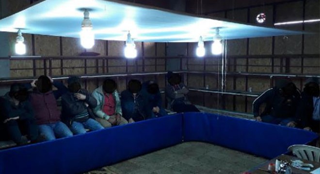 Horozlarını dövüştüren 4 kişiye 50 bin lira ceza