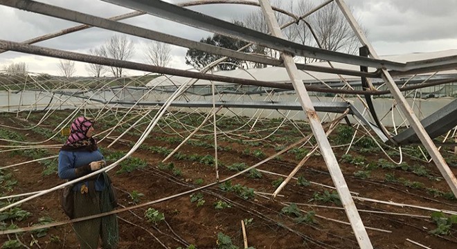 Hortumda zarar gören seralara ödeme yok