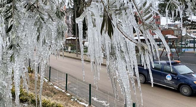 Hortumundan fışkıran su, ağaçlarda sarkıt oluşturdu