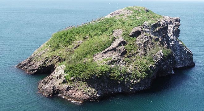 Hoynat Adası’na ziyaretçi akını