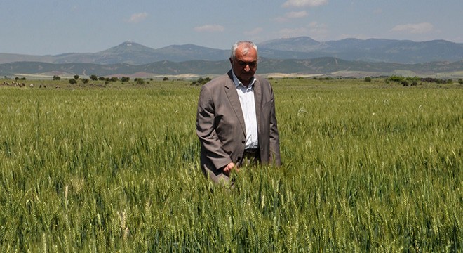 Hububat fiyatları çiftçiyi mutlu etti