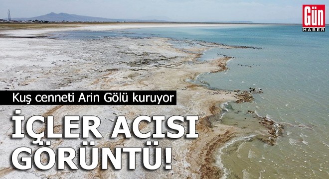 İçler acısı görüntü! Kuş cenneti Arin Gölü kuruyor