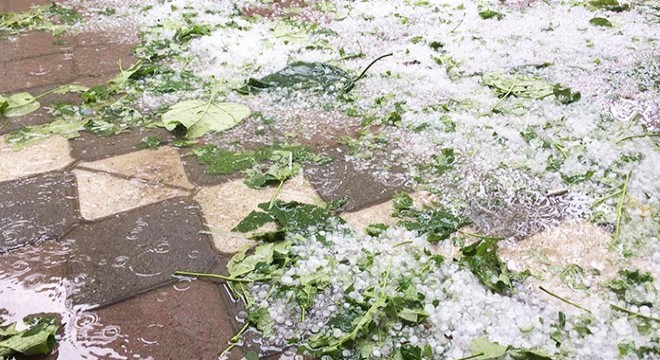 Iğdır'da sağanak ve dolu