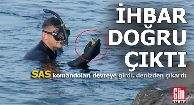 İhbar geldi SAS komandoları denize daldı