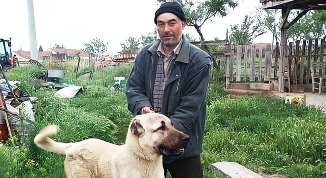 İki ailenin kavgasında vurulan oğul öldü, baba yaralı