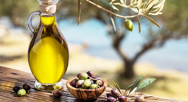 İklim değişikliği zeytin üretimini düşürdü, hasat gecikti