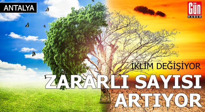 İklim değişiyor, hastalık ve zararlı sayısı artıyor