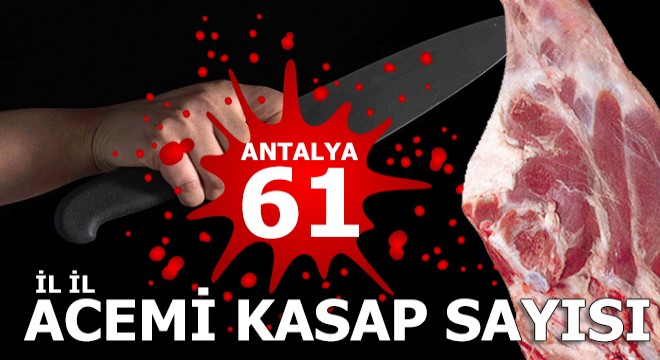 İl il acemi kasap sayısı