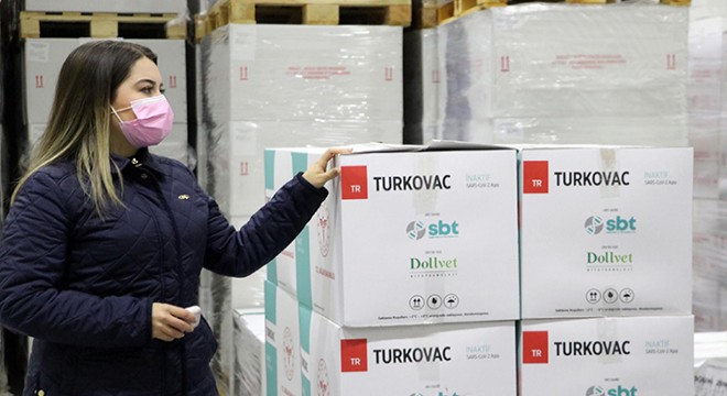 İlk Turkovac aşılarının analizi başladı