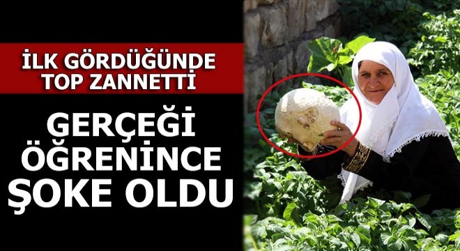 İlk gördüğünde top zannetti, gerçeği öğrenince şoke oldu