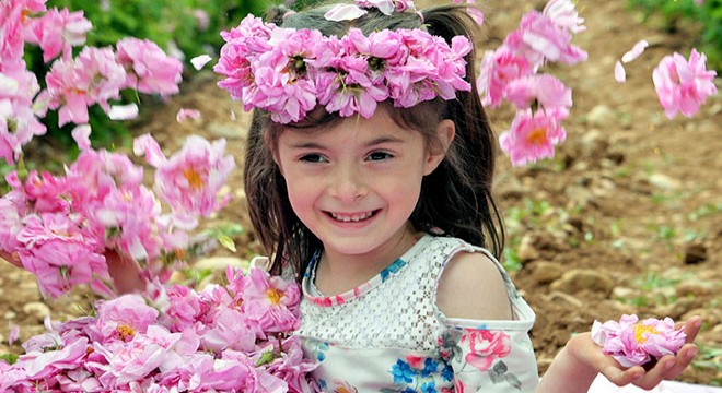 İlk gül yağı, kilosu 9 bin Euro'dan satıldı