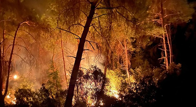 İmamoğlu nda 3 gün arayla 2 nci orman yangını