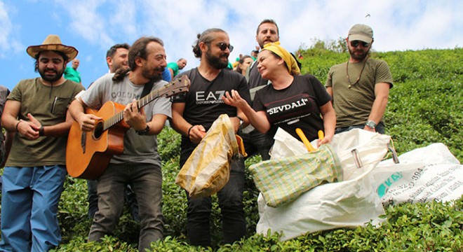 İmece usulü çay hasadına sanatçı desteği